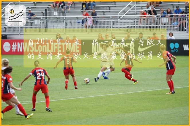 自2016年以来，我一直是卢与欧文的支持者，欧文是我最爱的球员之一
