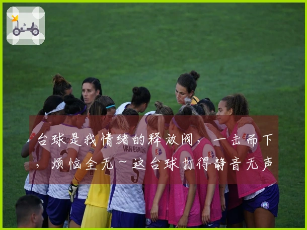 台球是我情绪的释放阀，一击而下，烦恼全无～这台球打得静音无声。