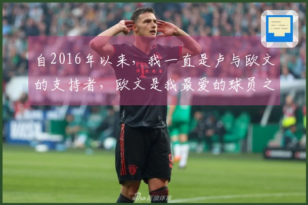 自2016年以来，我一直是卢与欧文的支持者，欧文是我最爱的球员之一